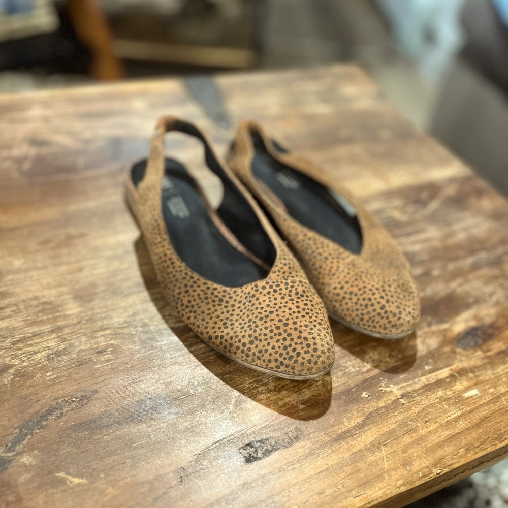 Toms Flats
